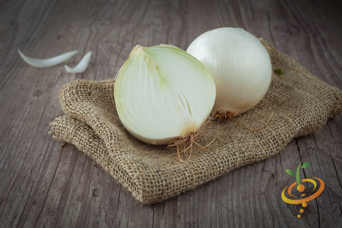 Spanish sweet white onion whole and halved on burlap sack with wooden background