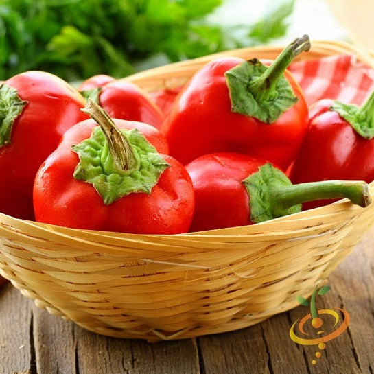 Order Sweet Pimento Pepper Seeds online from the USA. These heart-shaped, sweet, and mildly spicy seeds grow to 3"-4" and are perfect for cooking and garnishing.