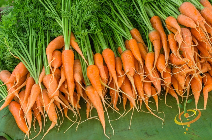Close-up of Little Fingers carrot seeds from SeedsNow, small 4-inch orange carrot seed packets on a white background.
