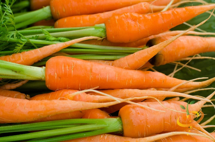 Organic Little Fingers carrot seeds from SeedsNow, 4-inch long carrot variety, shown in a natural seed packet image.