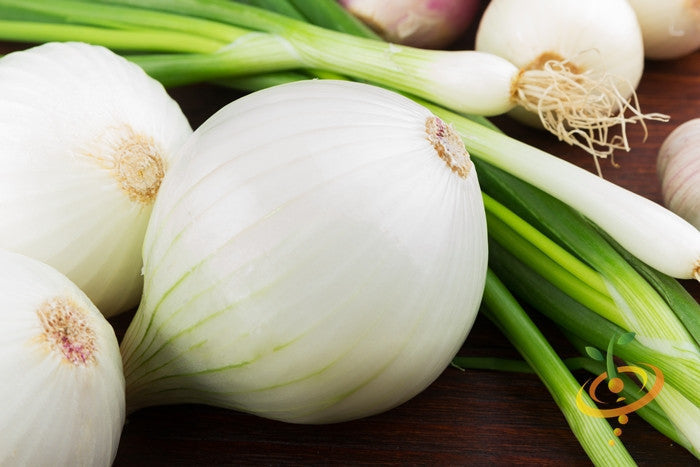 Spanish Sweet White Onion bulbs with green onion stems on wooden surface