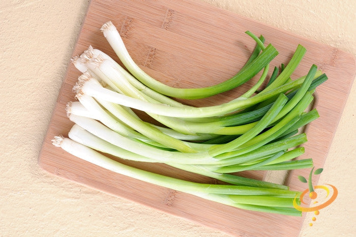 Fresh bunching green onions with white shanks on a wooden cutting board, Onion - Evergreen seeds variety