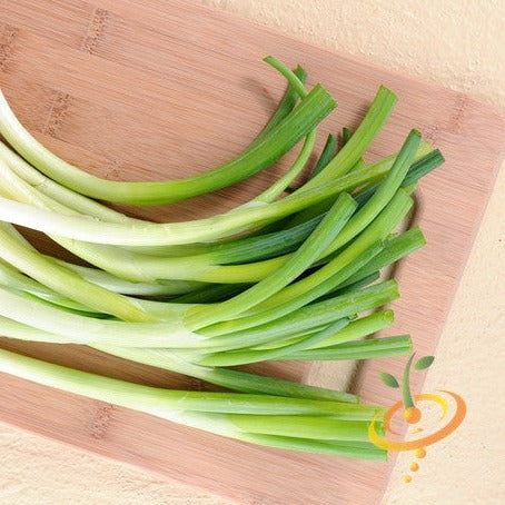 Fresh green bunching onions with white shanks on a wooden cutting board, Evergreen onion variety