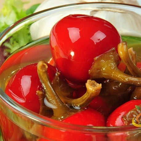 Close-up of bright red hot cherry peppers in a glass jar with stems immersed in liquid