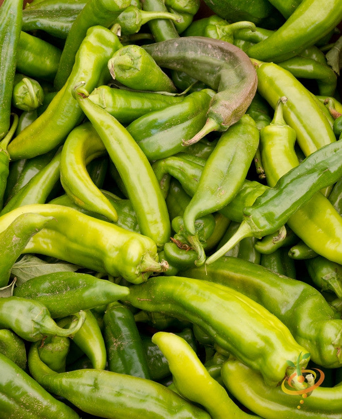 Close-up of fresh Anaheim chili peppers in varying shades of green