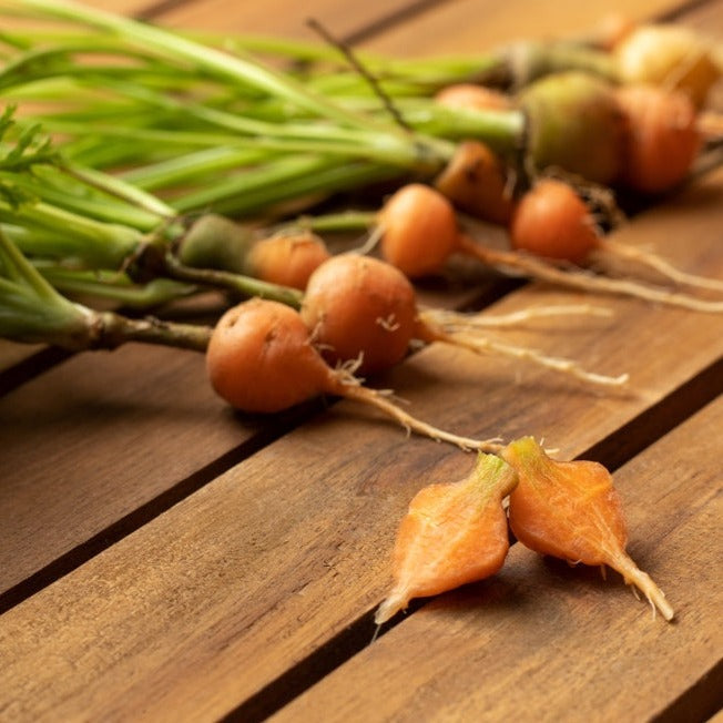 Shop for Paris Market Carrot seeds to order online in the USA. Tender, adorable 2" round. Open-pollinated OP, USA-quality, Heirloom, NON-GMO organic seeds & more!