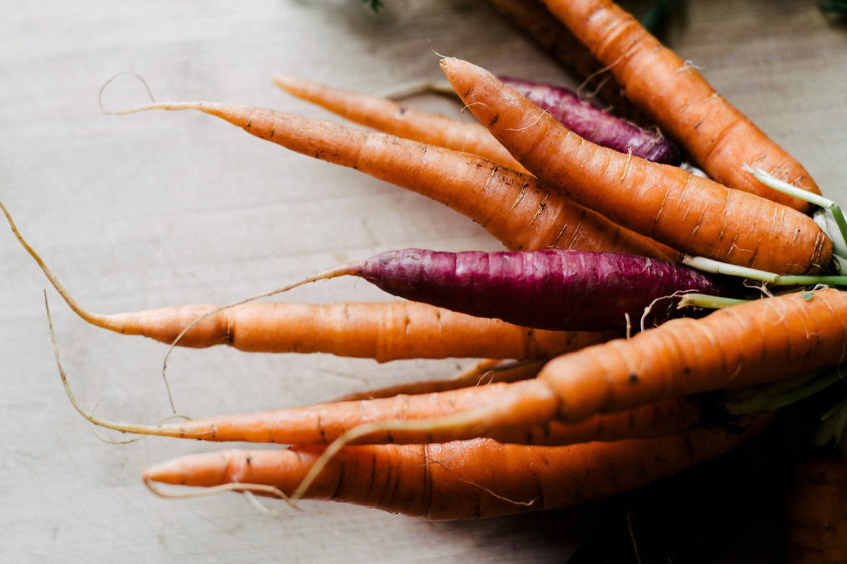 Colorful Heritage Rainbow Blend carrot seeds from SeedsNow, showcasing vibrant orange, purple, and yellow carrots on a gardening background.