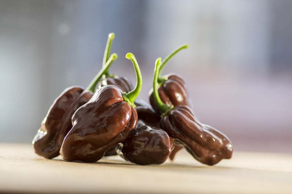 Close-up of world's hottest brown Ghost Chili peppers with green stems on a wooden surface