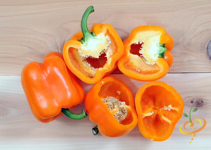 Sweet orange Horizon pepper plant with vibrant orange peppers growing on green stems, cultivated by SeedsNow.