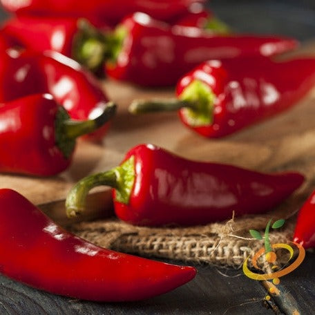 Close-up of Fresno Chili hot pepper seeds from SeedsNow, showing vibrant red seeds and green pepper skin on a white background.
