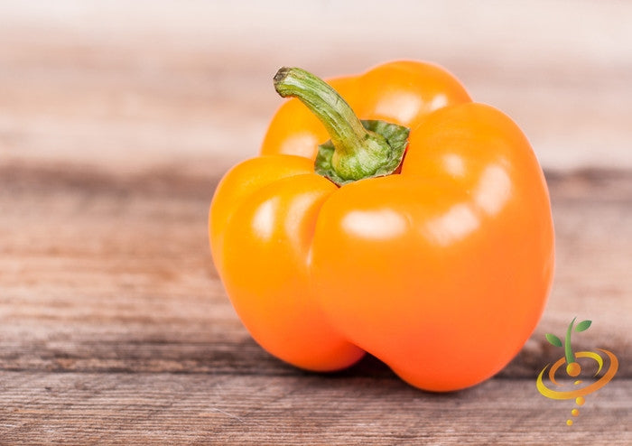 Sweet Orange Horizon pepper plant from SeedsNow, showcasing vibrant orange peppers on a healthy green plant.
