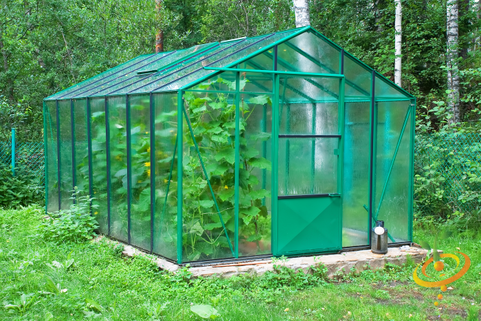 Tips for Growing Better in a Greenhouse
