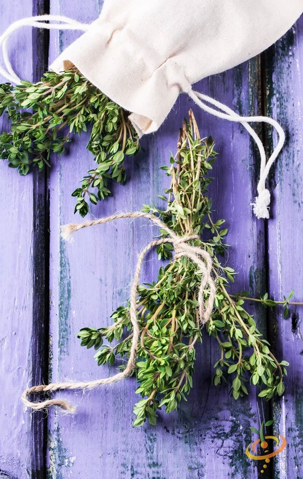 All Thyme Herb Seeds
