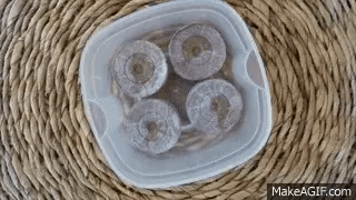 *Seed Starting Soil Pods* (ORGANIC)