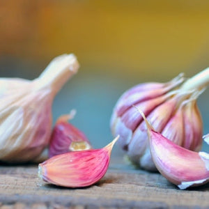 Organic Garlic Garden Variety Pack