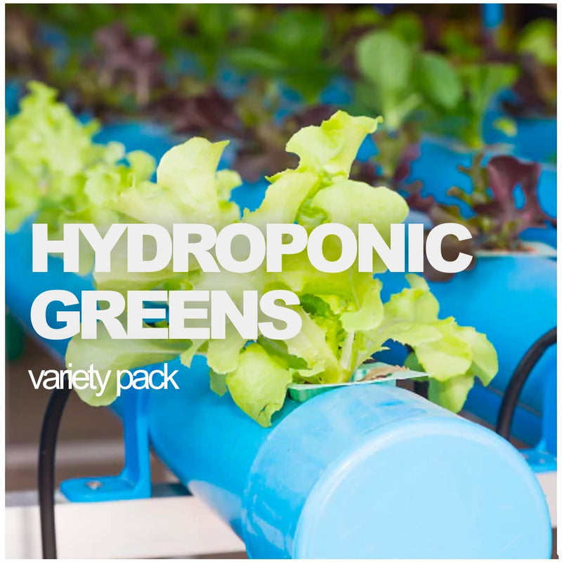 All-in-One Hydroponic Greens Variety Pack
