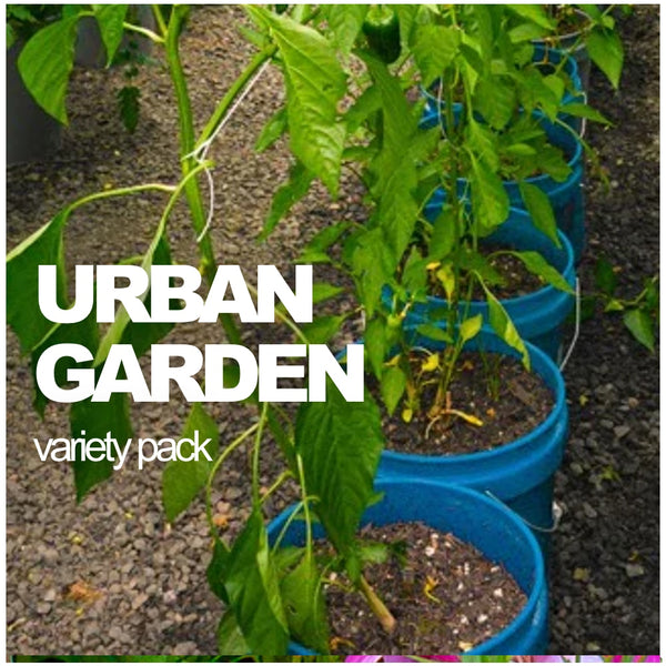 All-in-One Urban Garden Variety Pack