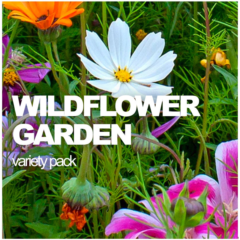 All-in-One Wildflower & Pollinator Scatter Garden Variety Pack