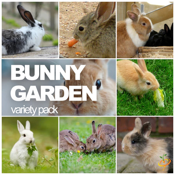 All-in-One Bunny Garden Variety Pack - SeedsNow.com