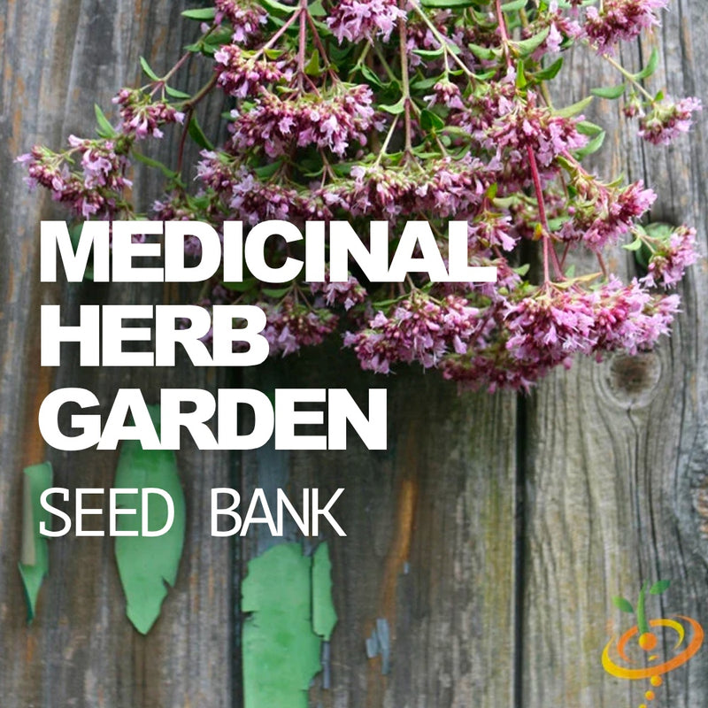 All-in-One Medicinal Herb Garden Seed Bank - SeedsNow.com