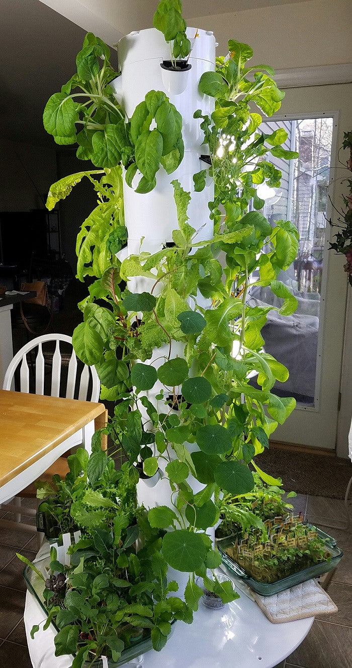 All-in-One Tower Garden Variety Pack