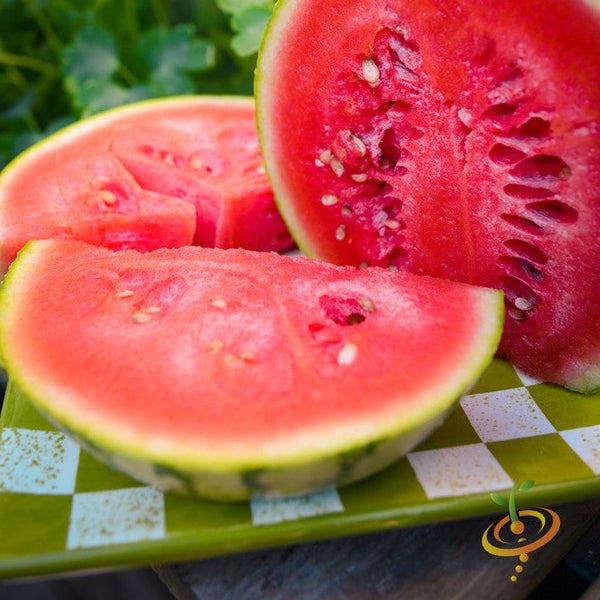 Watermelon - Sugarbaby - SeedsNow.com