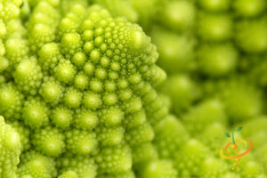 Broccoli - Romanesco Italia.