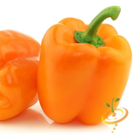 Pepper (Sweet) - Orange King