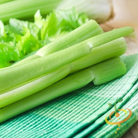 Celery - Golden