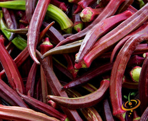 Okra - Red Burgundy.