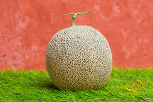 Melon - Honey Rock.