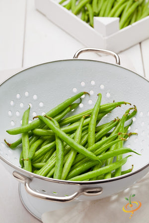 Bean (Bush) - Kentucky Wonder, White.