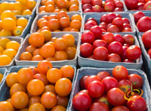 Tomato - Cherry, Red (Small) [INDETERMINATE].