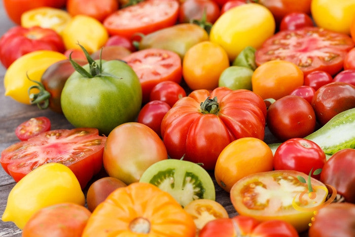 Tomato - Heritage Rainbow Mix [INDETERMINATE].