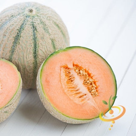 Melon (Cantaloupe) - Hales Best Jumbo