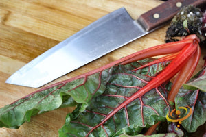 Swiss Chard - Ruby Red.