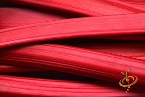 Crimson Cherry Rhubarb root from SeedsNow-Rhubarb, fresh and vibrant with green and red stalks visible in the image.
