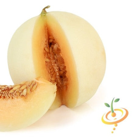Melon (Honeydew)- Orange Flesh - SeedsNow.com
