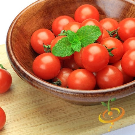 Tomato - Tiny Tim (Determinate)