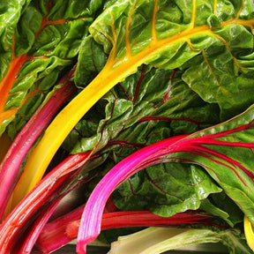 Rainbow Swiss Chard seeds from SeedsNow, showing vibrant multicolored chard leaves and seed packets on a white background.