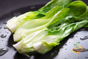 Cabbage - Bok Choy (Pac Choi).