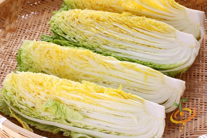 Cabbage - Michihili.