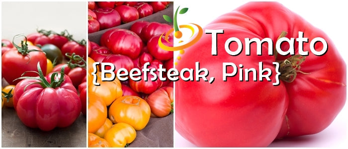 Tomato - Beefsteak, Pink (Indeterminate) - SeedsNow.com