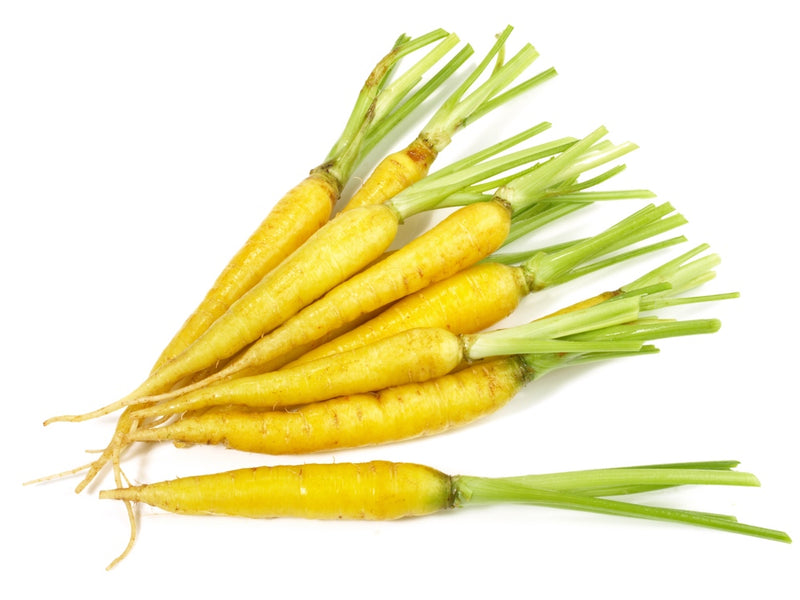 Carrot - Solar Yellow, 7" Long