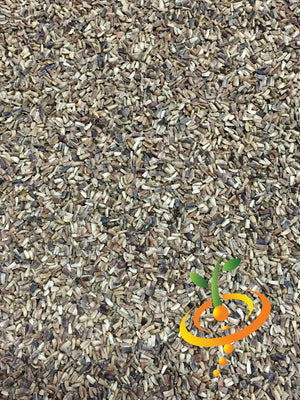 Chicory - Verona, Red.