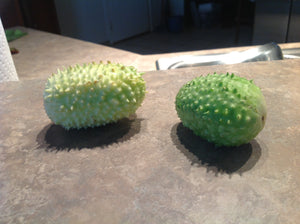 Cucumber - Cucamelon, West Indian Burr Gherkin - SeedsNow.com