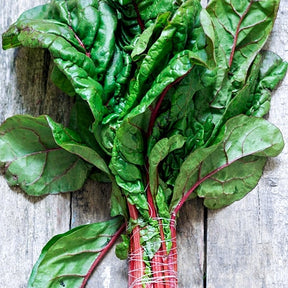 Swiss Chard Hot Pink Seeds | Easy-to-Grow & Rich in Nutrients