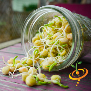 Sprouts/Microgreens - Green Pea.