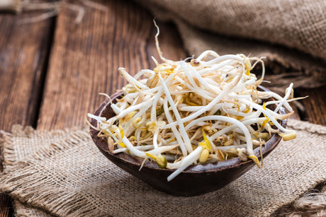Fresh mung bean sprouts from SeedsNow, showing vibrant green microgreens with delicate stems and small leaves.
