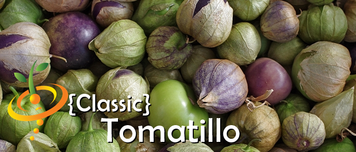 Tomatillo - Classic